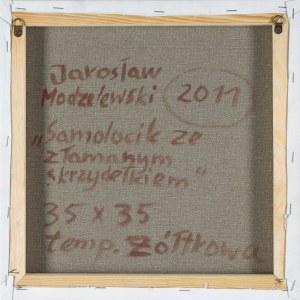 Jarosław Modzelewski, SAMOLOCIK ZE ZŁAMANYM SKRZYDEŁKIEM, 2011