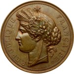 French Indochina Hanoi Exposition Medal 1887