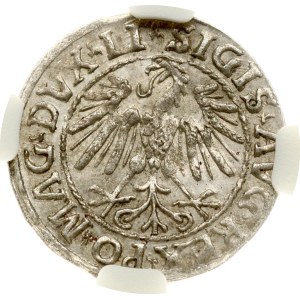 Litauen Polgrosz 1547 Vilnius NGC MS 63