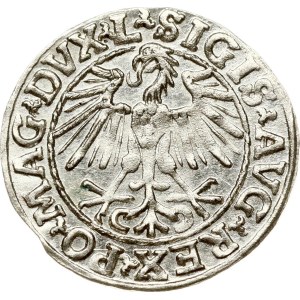 Litauen Polgrosz 1548 Vilnius