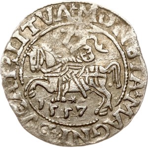 Litauen Polgrosz 1557 Vilnius