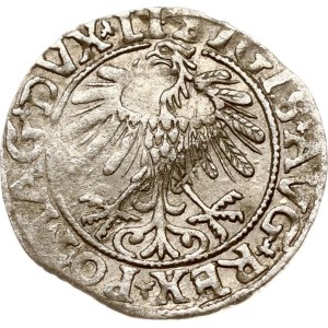 Litauen Polgrosz 1557 Vilnius