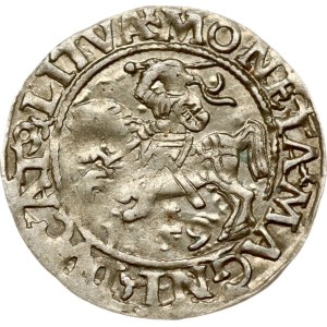 Litauen Polgrosz 1559 Vilnius