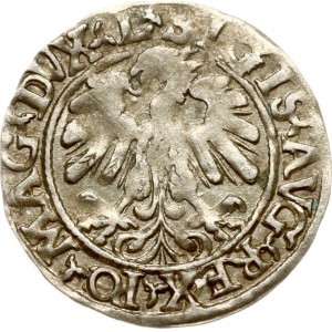 Litauen Polgrosz 1559 Vilnius