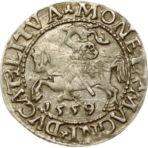 Litauen Polgrosz 1559 Vilnius
