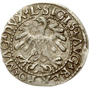 Litauen Polgrosz 1559 Vilnius