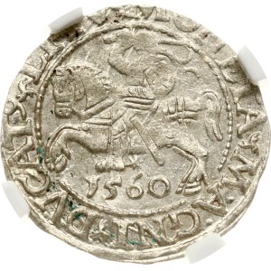 Litauen Polgrosz 1560 Vilnius NGC MS 63