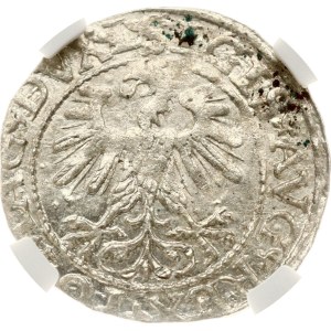 Litauen Polgrosz 1560 Vilnius NGC MS 63