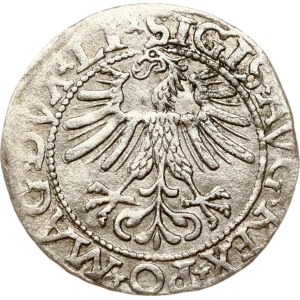 Litauen Polgrosz 1562 Vilnius