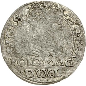Litauen Grosz 1566 Tykocin (RR) - MAGNN