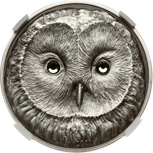 Mongolia 500 Togrog 2011 Owl NGC MS 70 ANTIQUED TOP POP