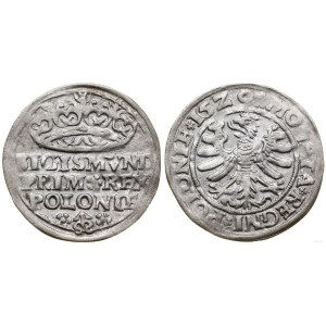 Poľsko, penny, 1529, Krakov