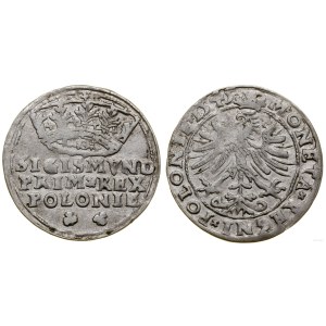 Poland, grosz, 1545, Cracow