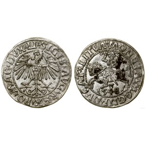 Polska, półgrosz, 1548, Wilno