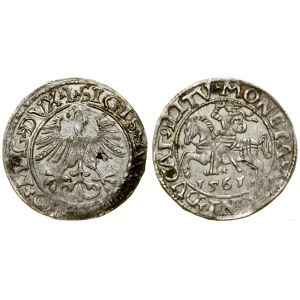 Poland, half-penny, 1561, Vilnius