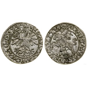 Poľsko, polgroš, 1562, Vilnius