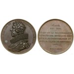 France, medal from the series of rulers of France - Louis XIII the Just