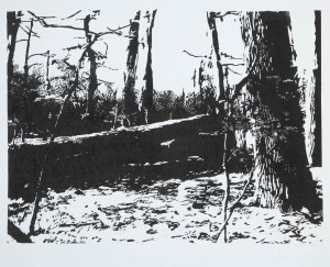 Magdalena Moskwa (ur. 1967 Poddębice), Las, 2008