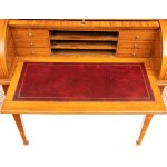 MAPLE & CO. Rolling cabinet with glass display case - 19th century
