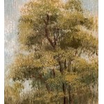 ANONIMO, Landscape