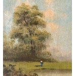 ANONIMO, Landscape