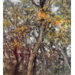 Augusto Radice, Forest landscape - Augusto Radice