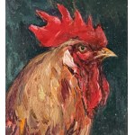 NICOLA CANZANELLA, Rooster - NICOLA CANZANELLA