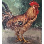 NICOLA CANZANELLA, Rooster - NICOLA CANZANELLA