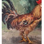 NICOLA CANZANELLA, Rooster - NICOLA CANZANELLA