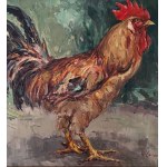 NICOLA CANZANELLA, Rooster - NICOLA CANZANELLA