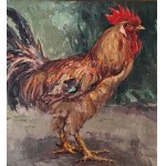 NICOLA CANZANELLA, Rooster - NICOLA CANZANELLA
