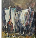 NICOLA CANZANELLA, Livestock- NICOLA CANZANELLA
