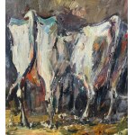 NICOLA CANZANELLA, Livestock- NICOLA CANZANELLA