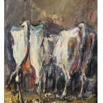 NICOLA CANZANELLA, Livestock- NICOLA CANZANELLA