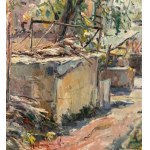 NICOLA CANZANELLA, Farm - NICOLA CANZANELLA