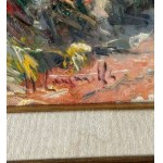 NICOLA CANZANELLA, Farm - NICOLA CANZANELLA