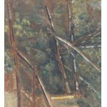 UNIDENTIFIED SIGNATURE, Staircase with pergola