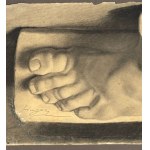 UNIDENTIFIED SIGNATURE, Anatomy of the Foot