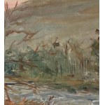 UNIDENTIFIED SIGNATURE, Landscape