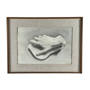 ANONIMO, Anatomy of the hand