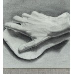 ANONIMO, Anatomy of the hand