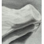 ANONIMO, Anatomy of the hand