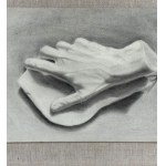 ANONIMO, Anatomy of the hand