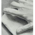 ANONIMO, Anatomy of the hand