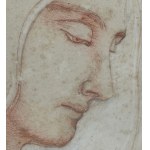 ANONIMO, Female profile