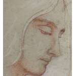 ANONIMO, Female profile