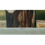 Zdzislaw Beksinski (1929 - 2005), Untitled (signed by the author)