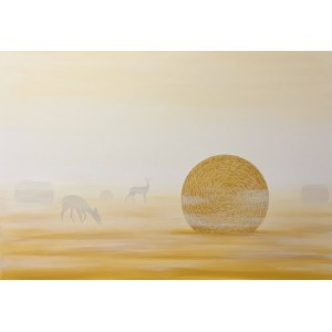 Paula Goździewicz, No rush, 2025