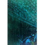 Renata Masłyk, Dragonfly, 350x150cm