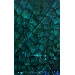 Renata Masłyk, Dragonfly, 350x150cm